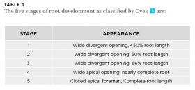 Management Of The Open Apex In Endodontics Scottish Dental Magazine