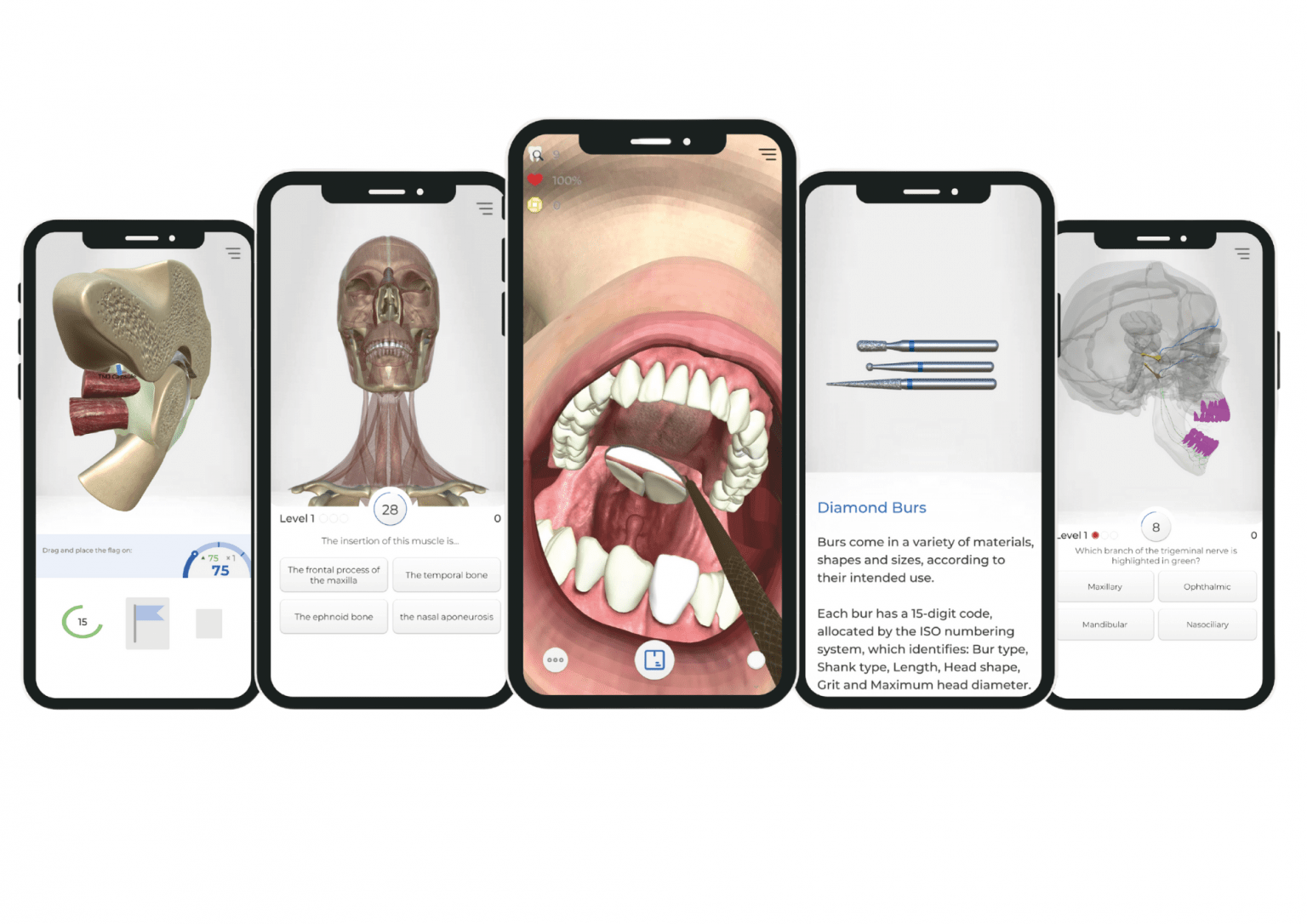 Immersify Dental targets 100,000 users with launch of new subscription