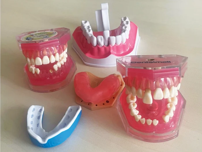Dentate models with removable teeth and mouthguards